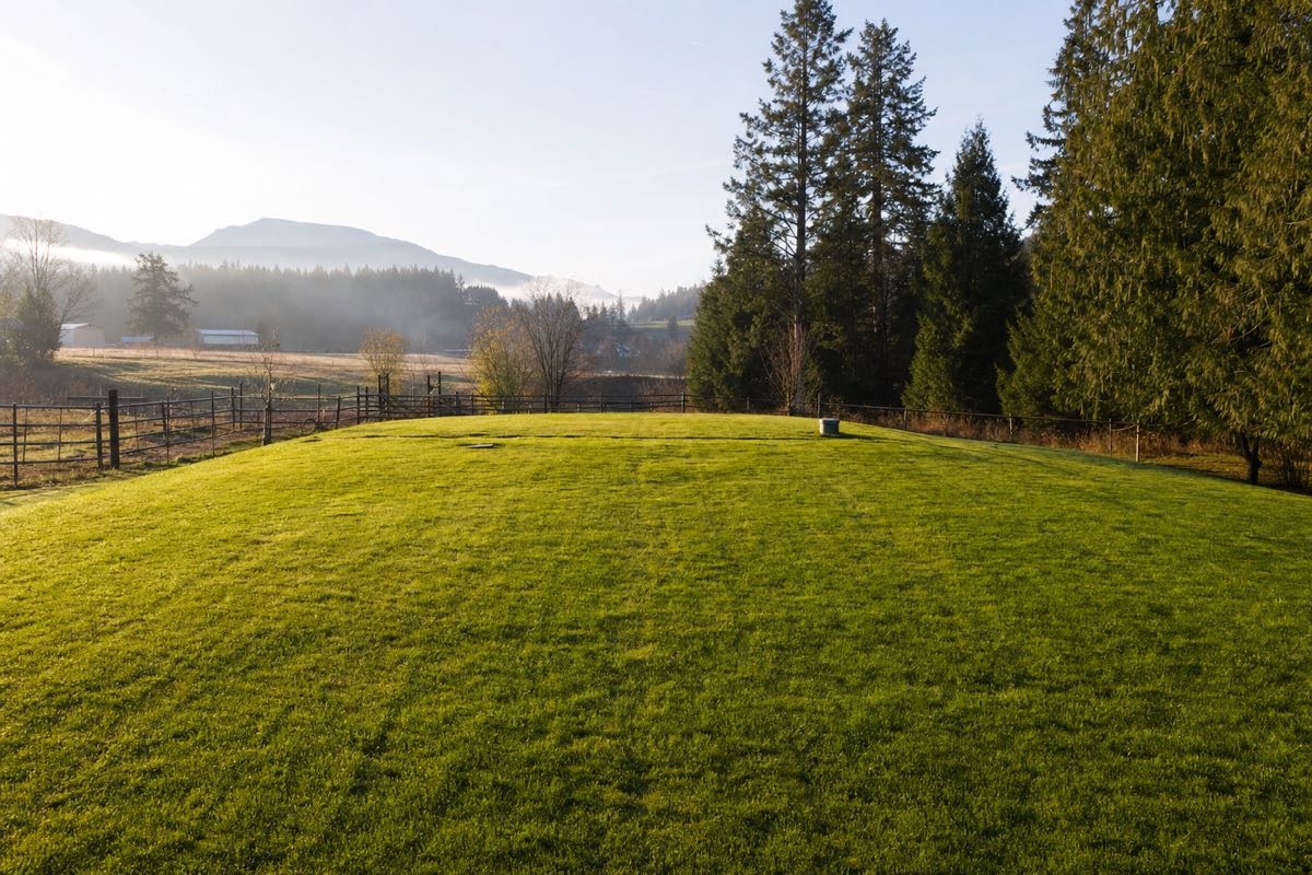 Healthy green septic drain field on rural Fraser Valley land with evergreen trees and mountains in the distance